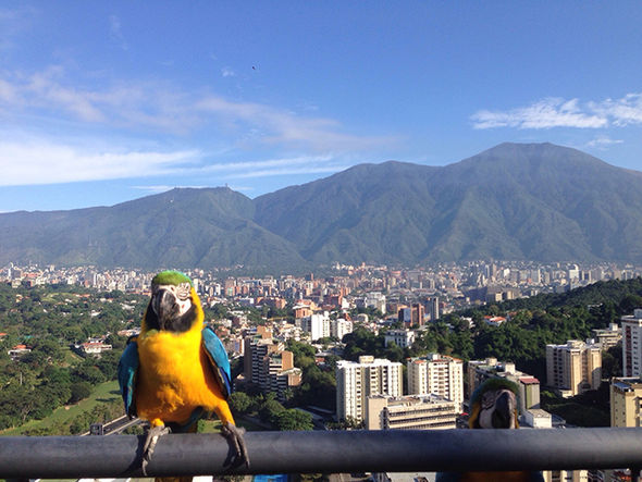 dangerous-city-venezuela-caracas-1015377.jpg