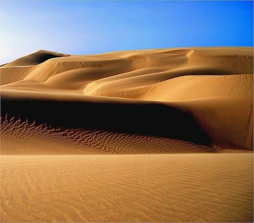 f9163375fb0fc7b7a12f35f0bc79fe83--desert-photography-coro.jpg